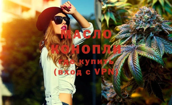 шишки Ельня