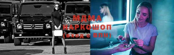 шишки Ельня