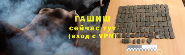 шишки Ельня