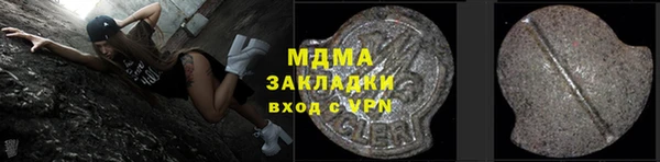 шишки Ельня
