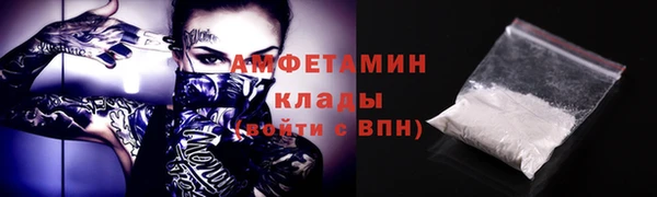 шишки Ельня