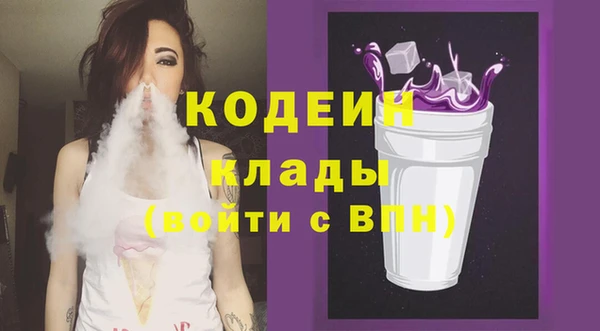 шишки Ельня