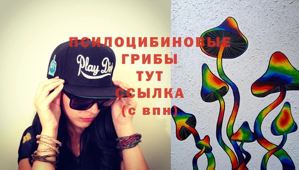 шишки Ельня