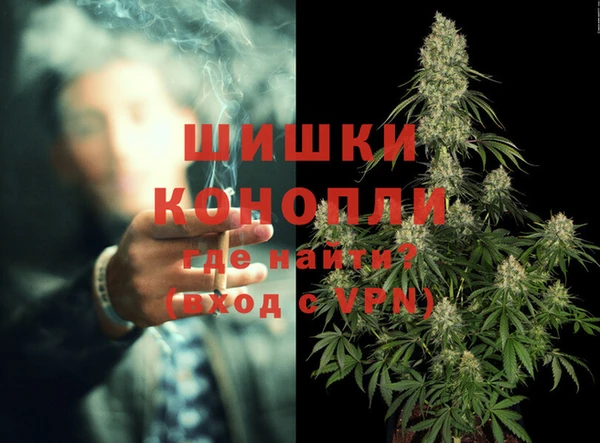 шишки Ельня
