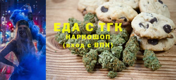 шишки Ельня