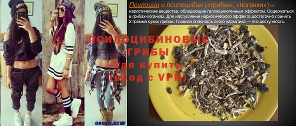 винт Елизово