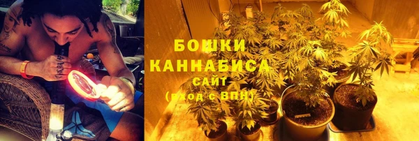 шишки Ельня