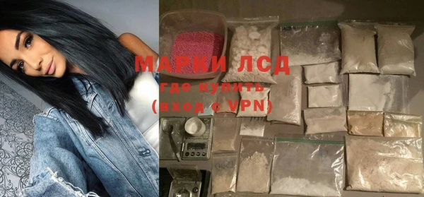 шишки Ельня