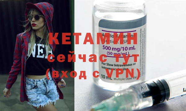 шишки Ельня
