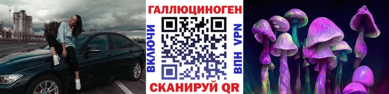 Купить где  Клинцы  Псилоцибиновые грибы GOLDEN TEACHER 